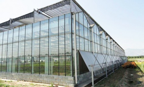如何对玻璃温室进行升温操作呢？